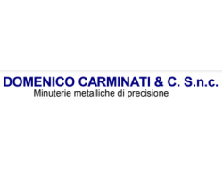 DOMENICO CARMINATI & C. SNC